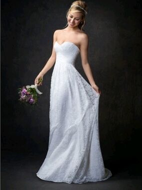 Private Label Ella Rosa White Sweetheart Lace A-Line Wedding Gown Size 8nwot
